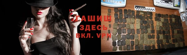 хмурый Аркадак