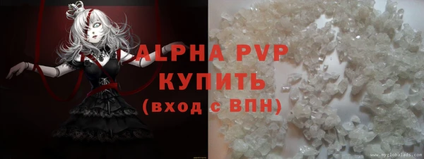 хмурый Аркадак