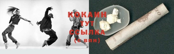 хмурый Аркадак