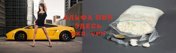 хмурый Аркадак