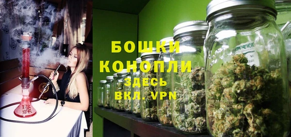 хмурый Аркадак