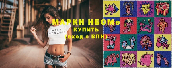 хмурый Аркадак