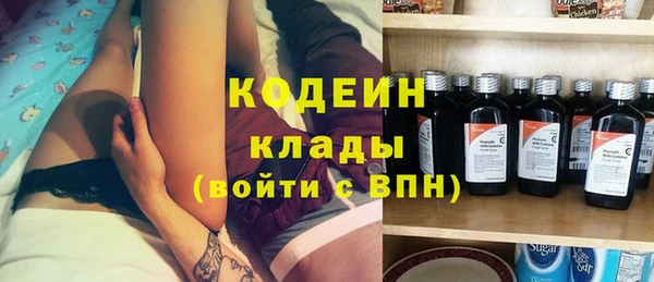 хмурый Аркадак