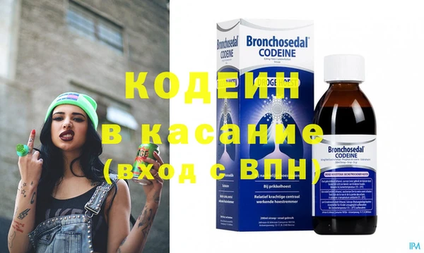 хмурый Аркадак