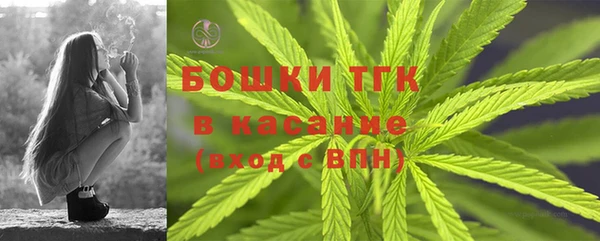 хмурый Аркадак