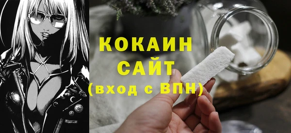 хмурый Аркадак