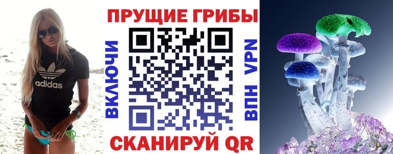 закладка  Инсар  Галлюциногенные грибы прущие грибы 
